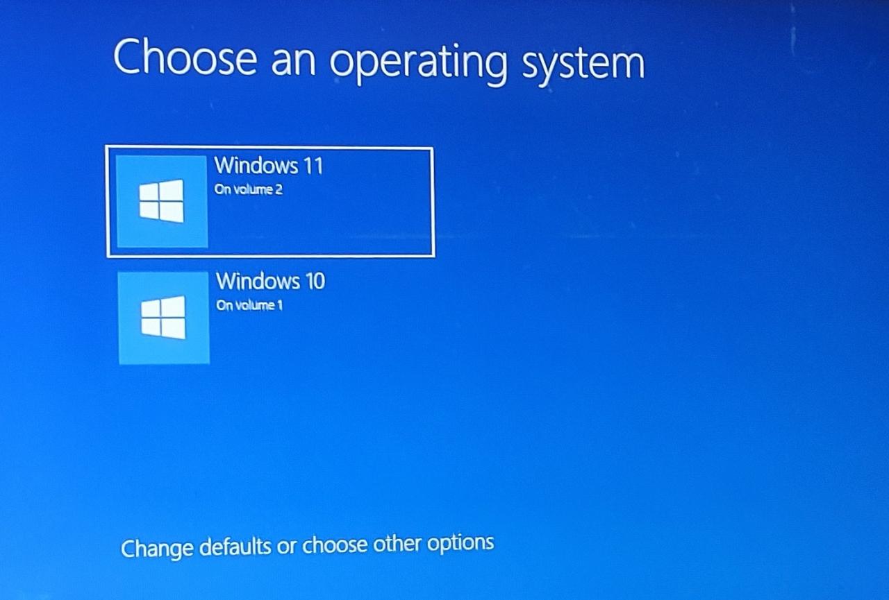 How to dual boot Windows 11 with Windows 10?