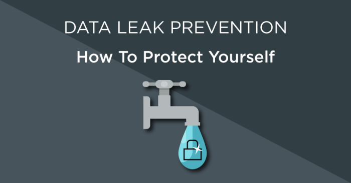 10 Quick Ways to Check For a Data Leak—and How to Make It Stop