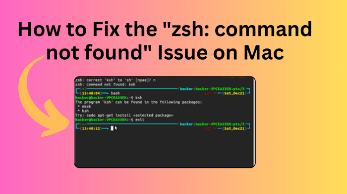 Zsh command found linux install shell