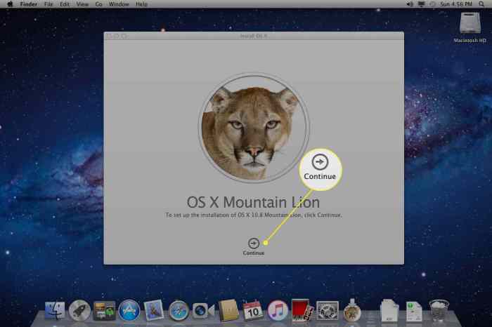 How To Upgrade Your Mac To OS X Lion