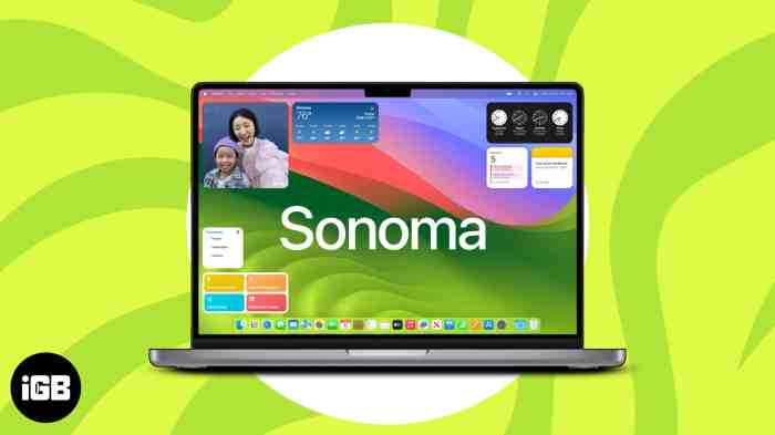 The 36 best macOS Sonoma features you should try after you update