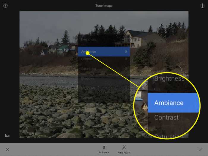 Use free Snapseed on iPad to tune your photos to best effect