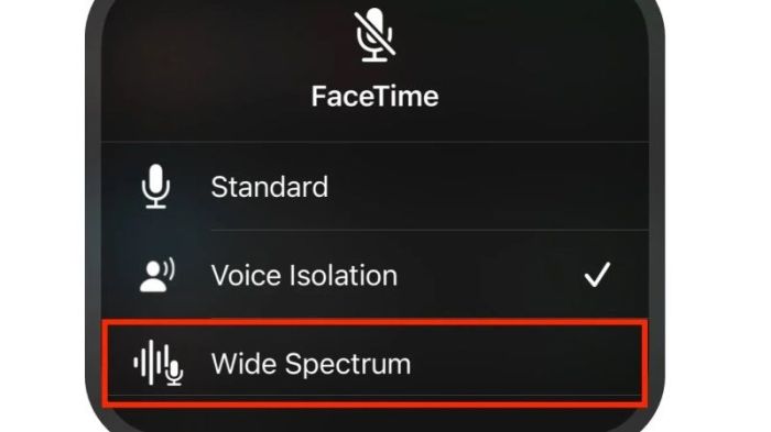 How to enable wide spectrum audio for FaceTime calls in iOS 15