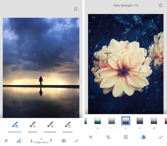 Use free Snapseed on iPad to tune your photos to best effect