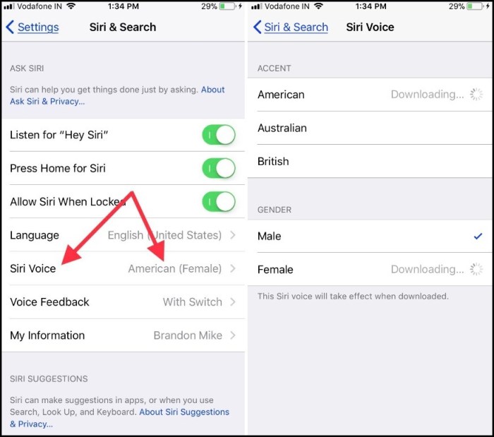 How to change Siri’s accent on iPhone, iPad and more