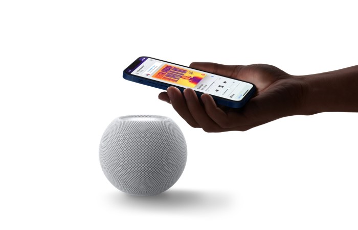 Software update homepod siri networks enterprise speaker makes nice play