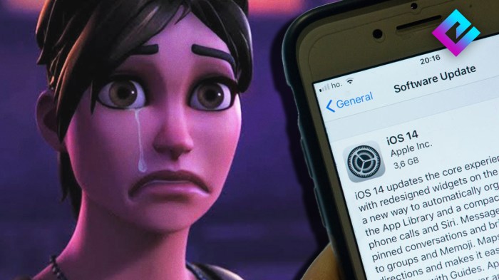 How to avoid losing Fortnite when updating to iOS 14