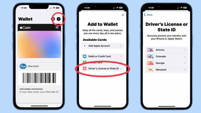 How to add your driver’s license to Apple Wallet