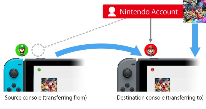 Nintendo data switch user transfer save