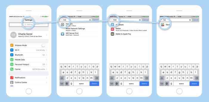 Ipad ipod impostazioni opzione qualsiasi trovare cercare itbookmac How to quickly search settings in iOS