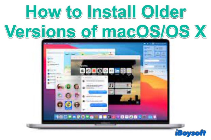 Volume downgrade apfs macos nektony catalina How to access APFS volumes on older versions of macOS