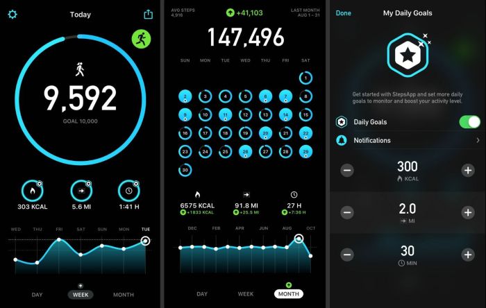 How to activate the iPhone’s hidden pedometer