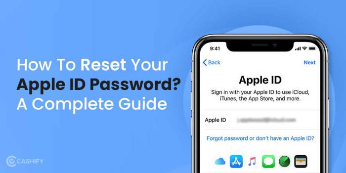 How to Manage And Reset Your Apple ID