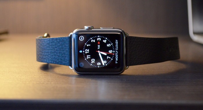 How to clear credit card info from a stolen Apple Watch