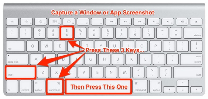 Command shortcuts grab kapwing