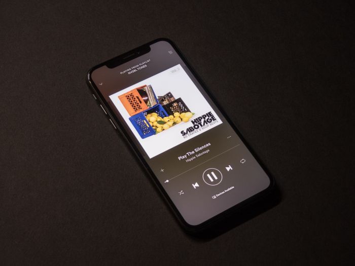 How to set Spotify and others as your default music player in iOS 14.5