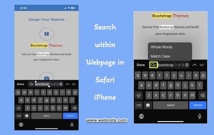 How to search in a page or website in Mobile Safari