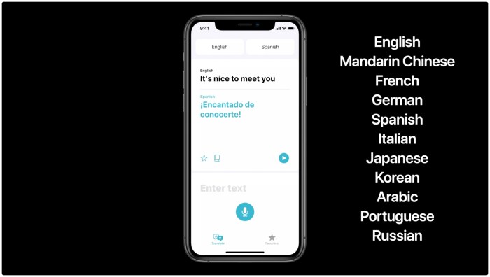 How to download languages to use iOS 14’s new Translate app offline