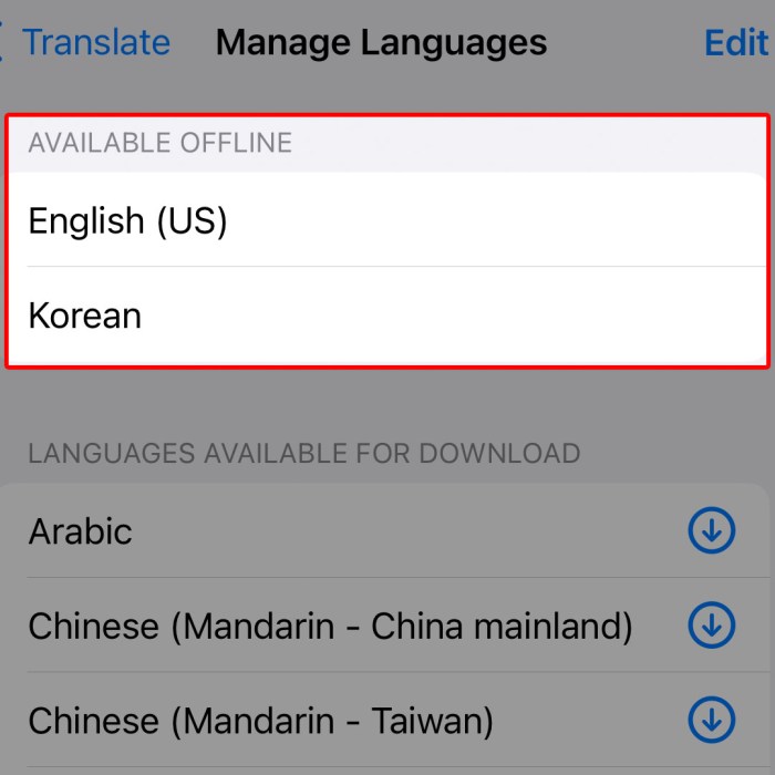 How to download languages to use iOS 14’s new Translate app offline