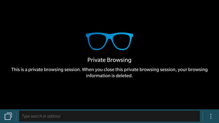 Keep your Private Browsing secret with this one smart Safari move