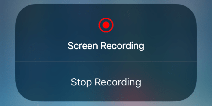 Screen record iphone ios voice button will