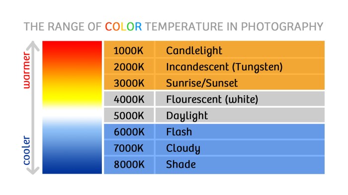 Balance white photography basics mini guide photographers portrait improvephotography improve wb definition