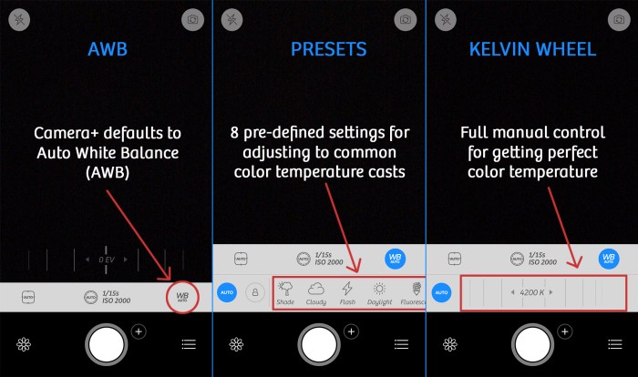 Everything you need to know about white balance for your iPhone camera