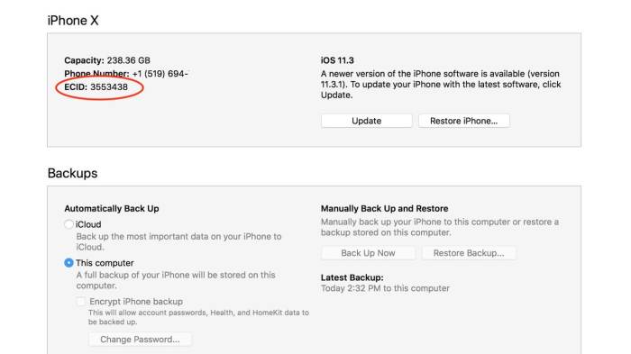 How To Find Your iPhone’s ECID