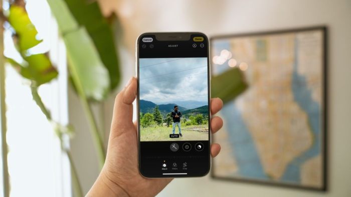 Everything you need to know about white balance for your iPhone camera