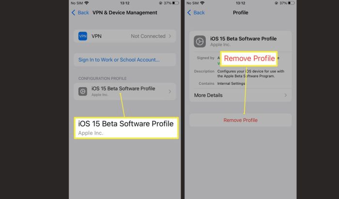 How to downgrade to iOS 14 after installing the iOS 15 beta