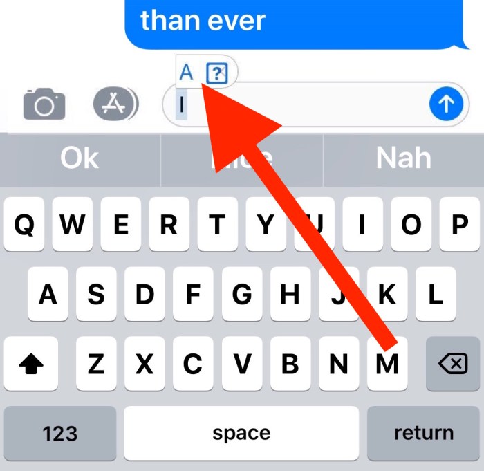 How to escape iPad autocorrect text-entry nightmares