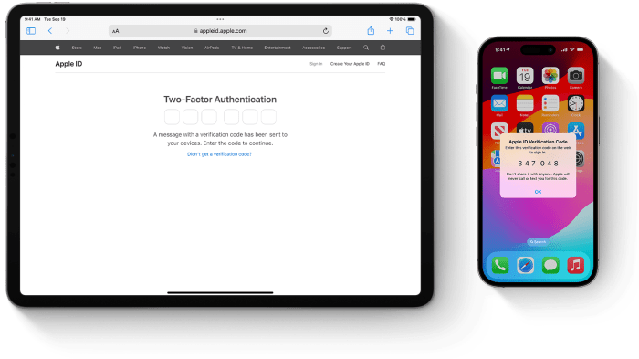 How to make Apple Passwords a standalone app