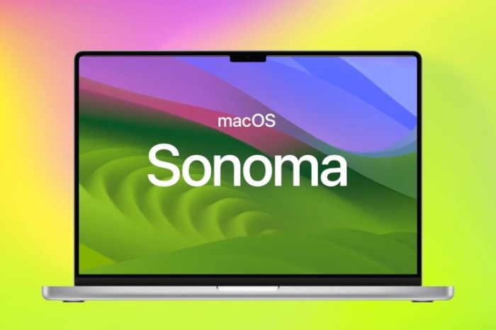 How to install the macOS 14 Sonoma Developer Beta