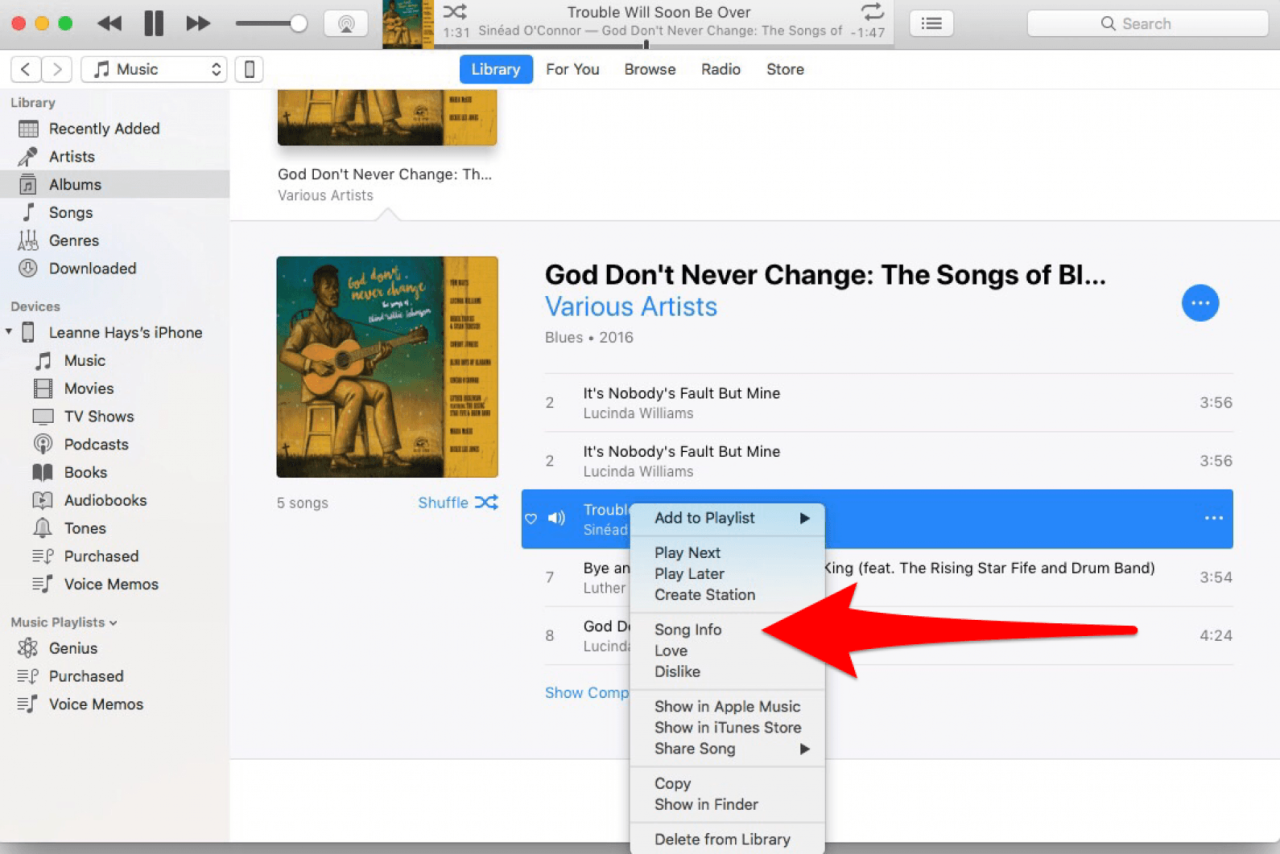 How to Make Your Own Free Ringtones in iTunes 10 in Easy Steps