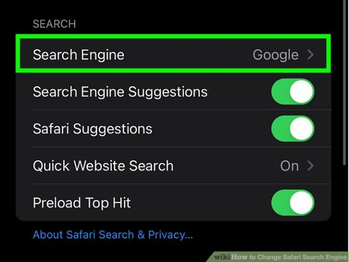 Ditch Google for another search engine inside Safari