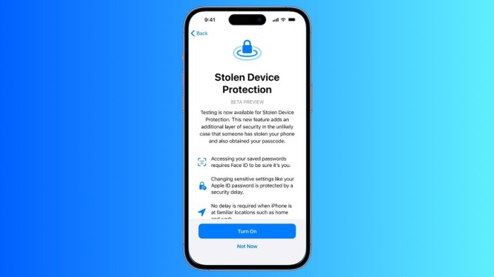 How and why to use iPhone Stolen Device Protection