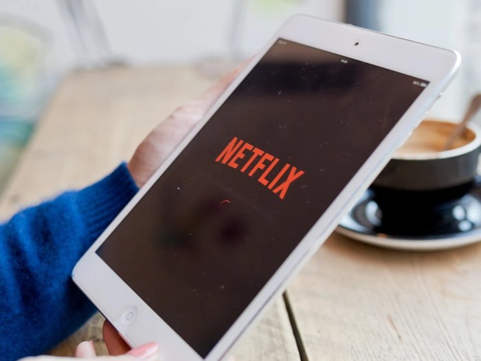 How To Watch Netflix On Your iPad From Any Country In The World