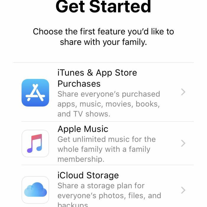 Family sharing ipad iphone setup use apple appletoolbox set mac instructions started follow screen choose get