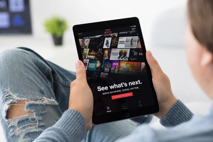 Ipad netflix pro app inch optimised not imgur