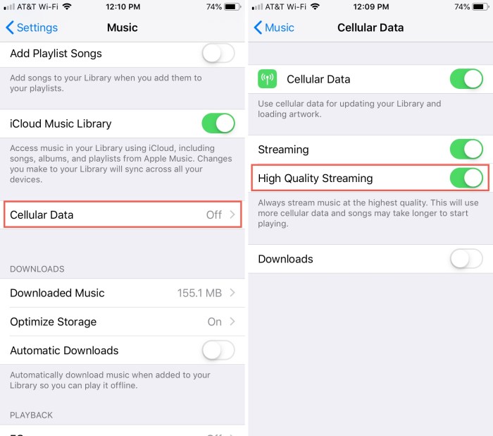 Apple music cellular streaming ios enable disable ipad turn feature into