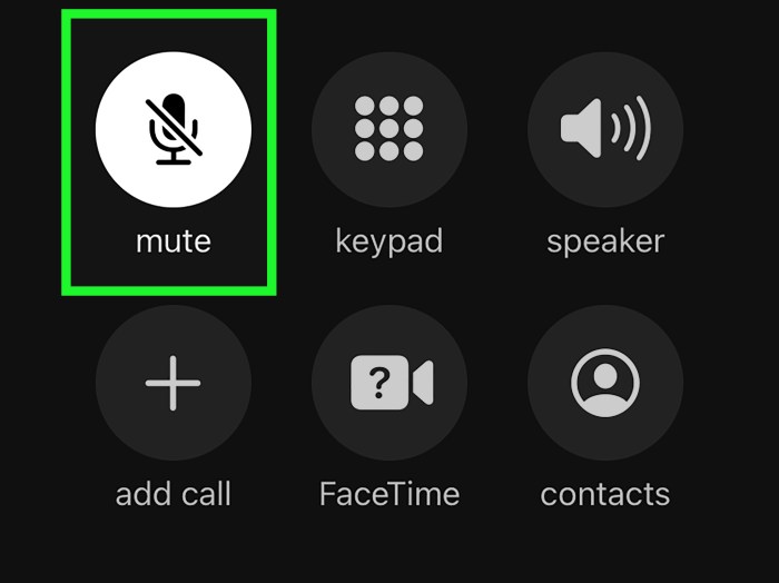 How to decline and mute calls with iPhone