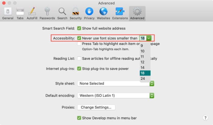 How to customize text in Safari for Mac