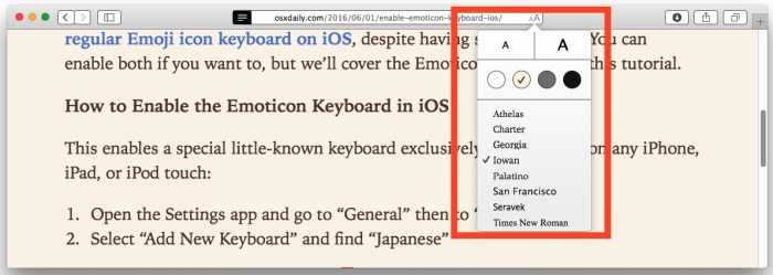 How to customize text in Safari for Mac