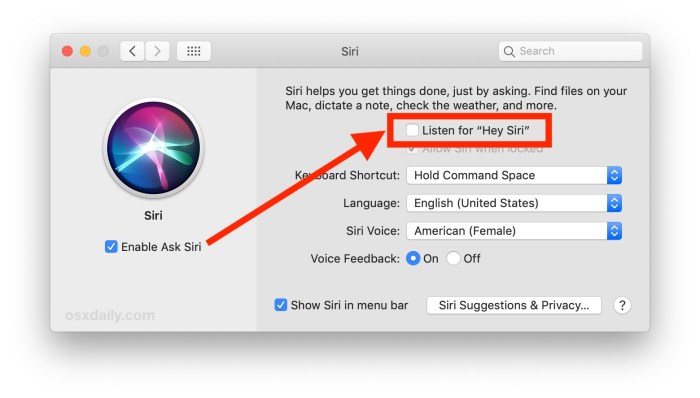 How to activate Siri with ‘Hey Siri’ on macOS Sierra