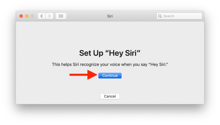 Siri ehi abilitare riconoscere farci preference accanto casella