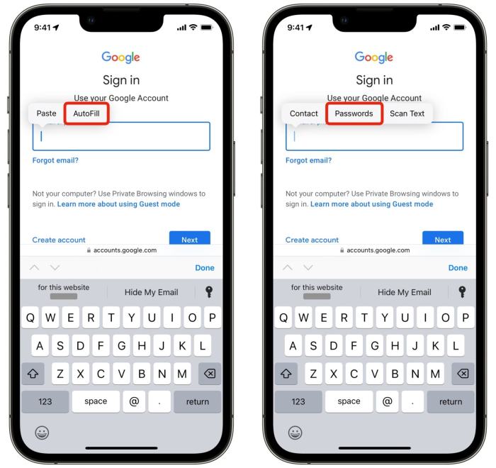 How to autofill passwords, email addresses and more on iPhone