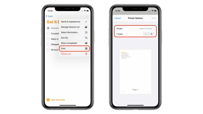 How to print a list from Reminders on iPhone, iPad and Mac