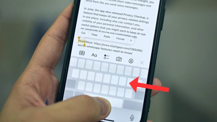 Cursor keyboard trackpad freely typing